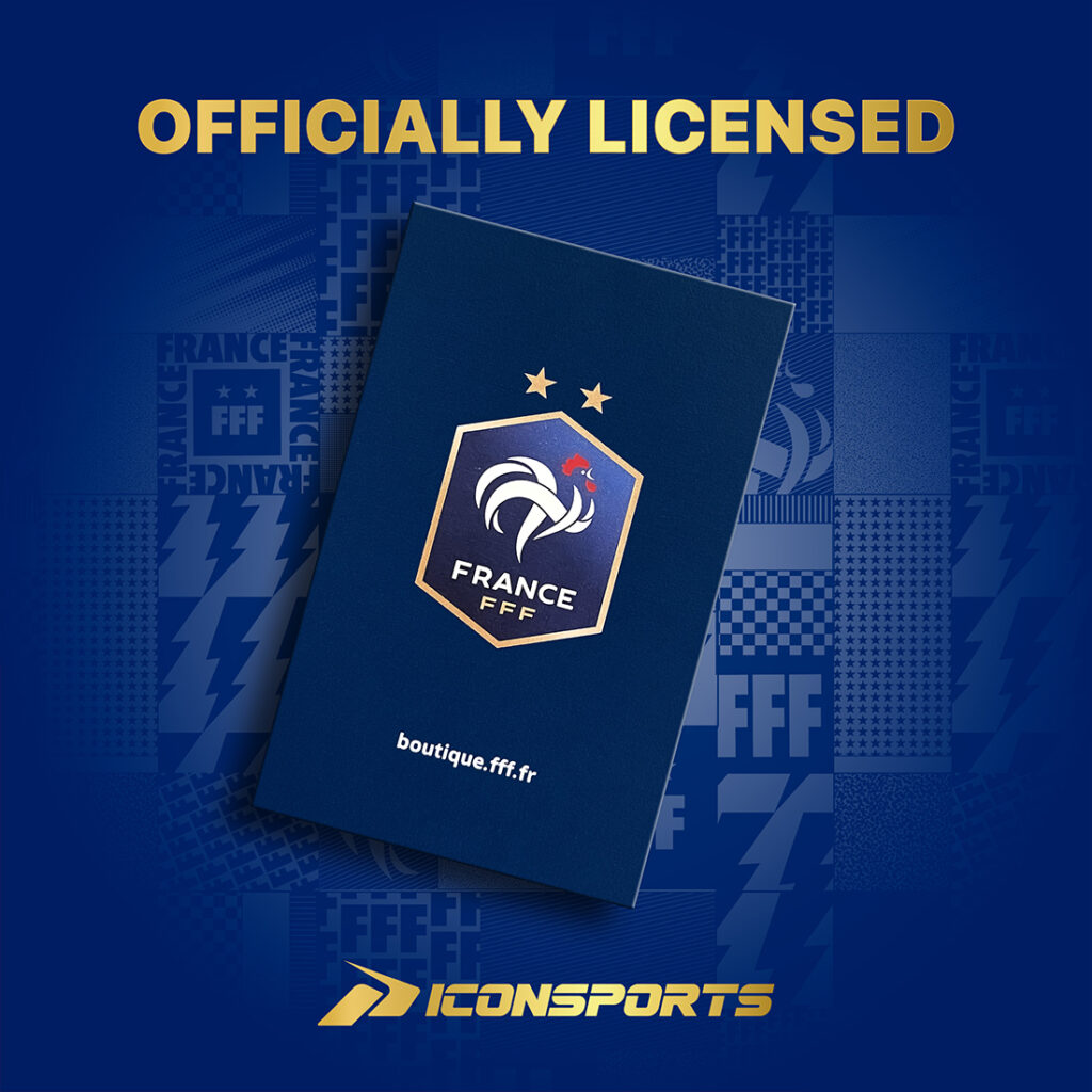 FRANCE FOOTBALL FEDERATION - SOCCER BALL (SIZE 5)