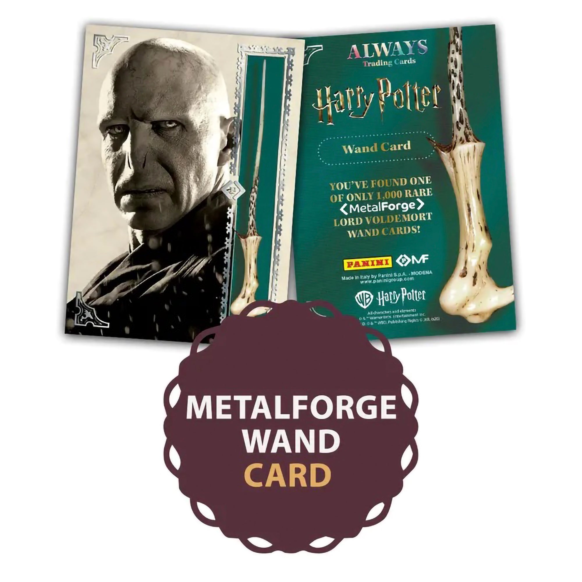 PANINI HARRY POTTER ALWAYS TRADING CARDS – **RANDOM** TREASURE BOX (40 CARDS)