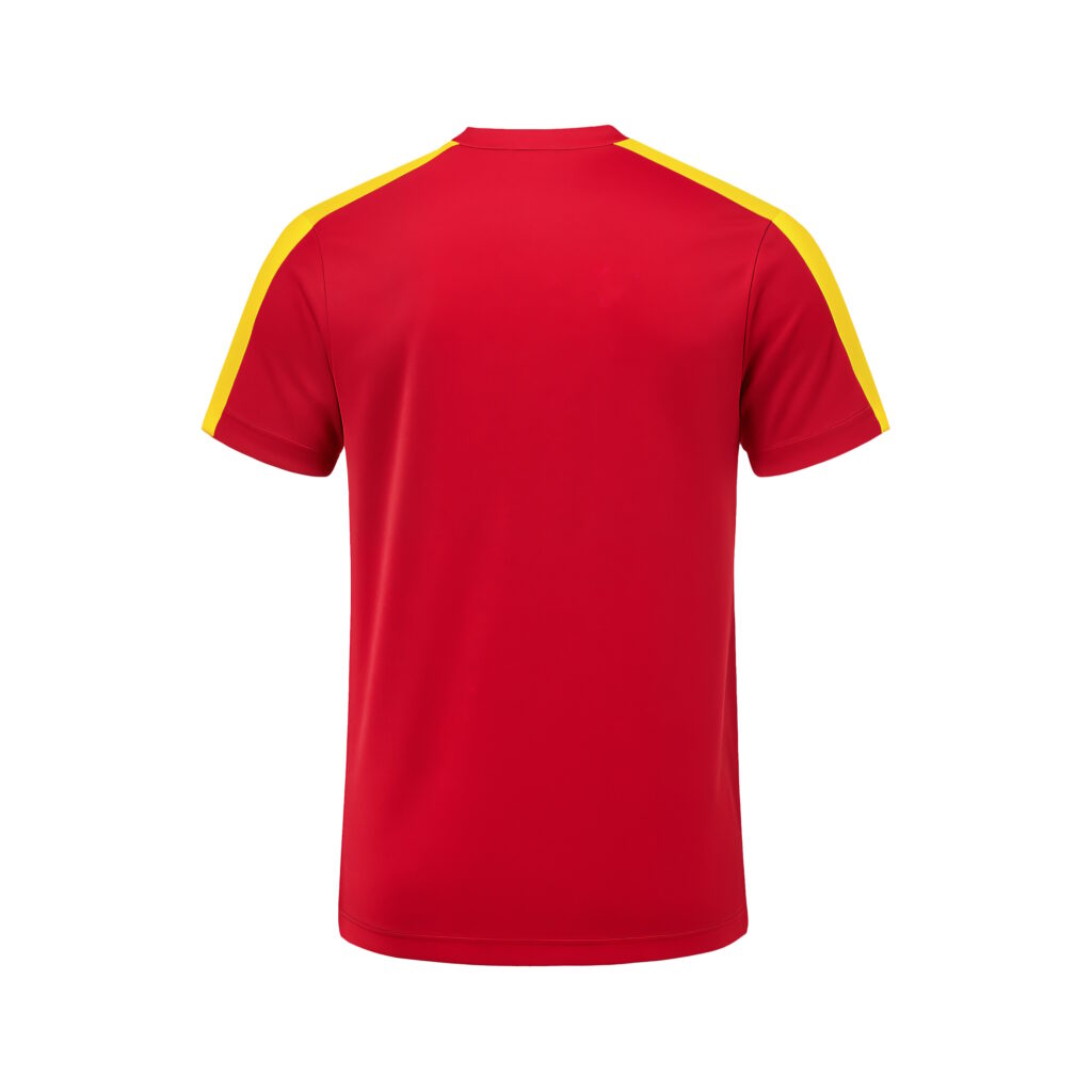 SPAIN – ADULT JERSEY