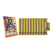 2024-25 PANINI PREMIER LEAGUE STICKERS - BUNDLE #2 (100 PACKS & MEGA STARTER PACK) (ALBUM + 551 STICKERS)